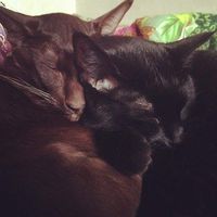 Ann Belova's Photo