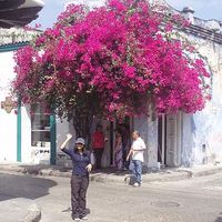 Gabriela Cazas's Photo