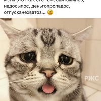 Лара  М's Photo