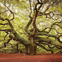 Xime Alvarez的照片