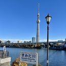 Nightlife In Tokyo's picture