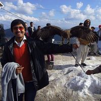 Muhammad Asad Shoaib的照片