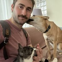 Gal Friedmann的照片