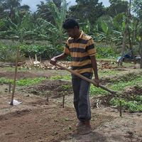 Asanga Jayasinghe的照片