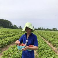 Dakota Johnson的照片