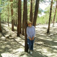 Fotos de Aisha Abukhan