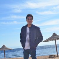 Le foto di Mostafa Soliman