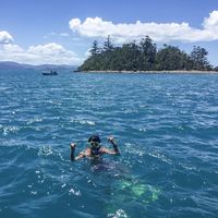 Patrick Chen's Photo