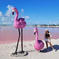 Adriana Pacheco's Photo