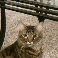 Randy Crosby's Photo