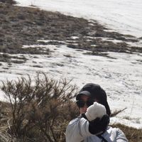 Maryam Alsaadi's Photo