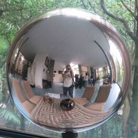 David Rodrigues's Photo