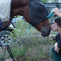 Julien  gerard的照片