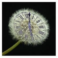 Baśka Mała的照片