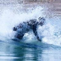 Wesley Jacobs's Photo