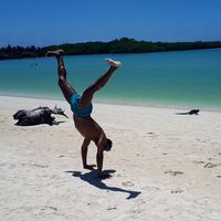 Фотографии пользователя Angelo Portez