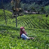 Nunung Afu'ah的照片