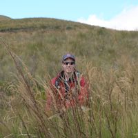 Fotos de Nicolas Vachon