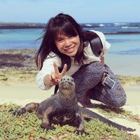 Fotos de Lai Truc Quynh