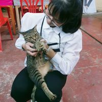 Phanida Raksachan的照片