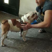 Mariano Solimando's Photo