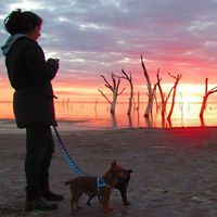 Anse Gramajo的照片