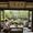 Alireza's Photo