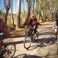 Ashley Scharff的照片