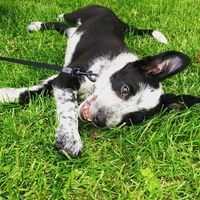 Brooke Adler's Photo