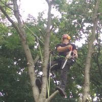 Jorrit Hoekstra's Photo