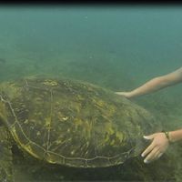 Ignacio Porras的照片