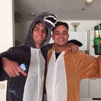 Fotos de Wiland de Zwaan