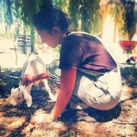 Michela Wilson的照片