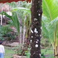 Dilandhu Sand的照片