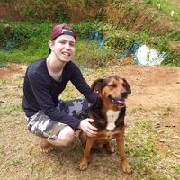 Luiz Henrique的照片