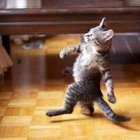 Fotos de Tomáš Lieskovan