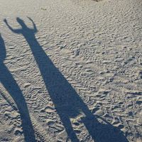 Sophie Toulou的照片