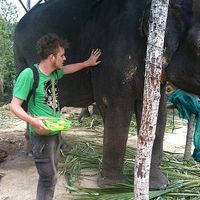 Peter Mammes的照片