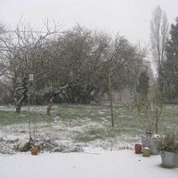 Marie Sylvie Saur's Photo