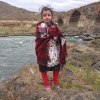 Amir Abdollahi的照片