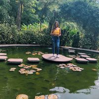 Margie Merino的照片