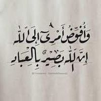 Mohammed Djeradi的照片