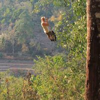 Martina Lisa Fee's Photo