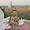 Florian's Photo