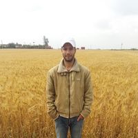 Adil Kamali的照片