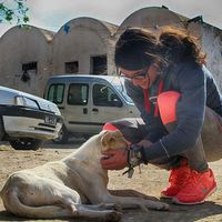 Le foto di Azza Falfoul