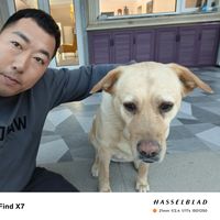 baogang Zhang's Photo