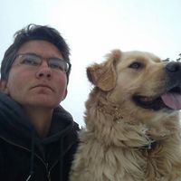 Fotos de Joel Gustafson