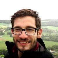 Victor Ciulei的照片