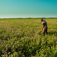 Maxime Renneson's Photo